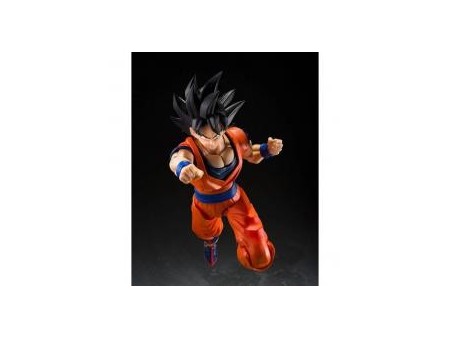 Figura tamashii nations dragon ball z