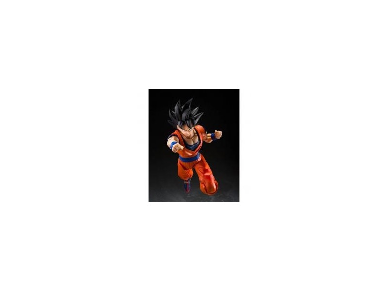 Figura tamashii nations dragon ball z