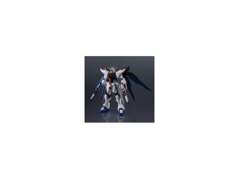 Figura tamashii nations mobile suit gundam
